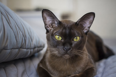 Similar image 21229005