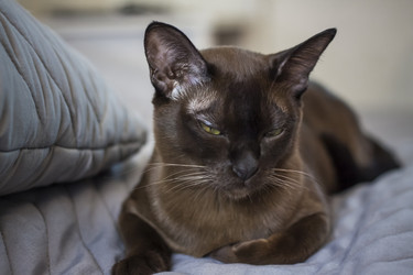 Similar image 21229007