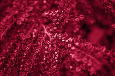 Similar image 21229026