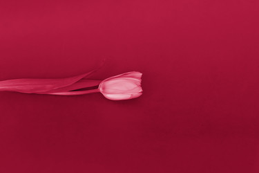 Similar image 21229031