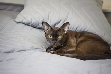 Similar image 21229033