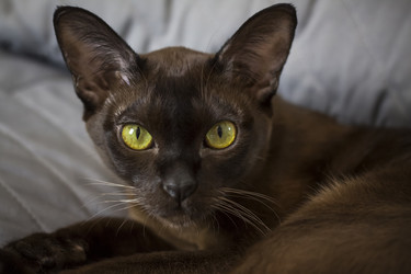 Similar image 21229039