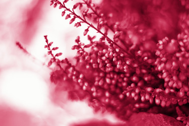 Similar image 21229052