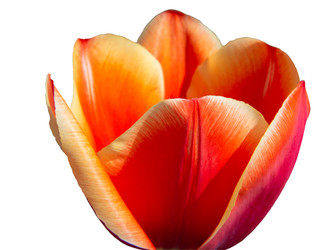 Similar image 21224818