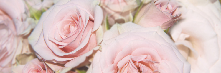 Similar image 21224820