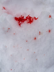 Similar image 21224830