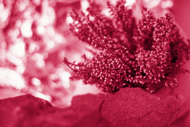 Similar image 21229054