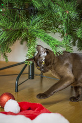 Similar image 21229067