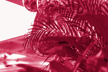 Similar image 21229078