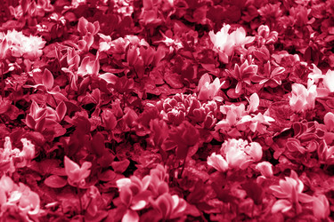 Similar image 21229117