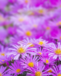 Similar image 21224837