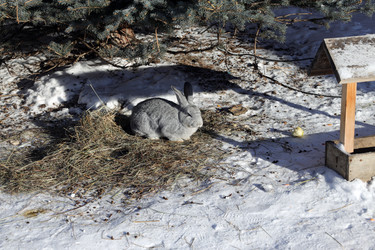 Similar image 21224858