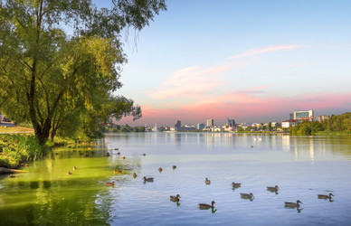 Similar image 21224862