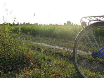 Similar image 21225630