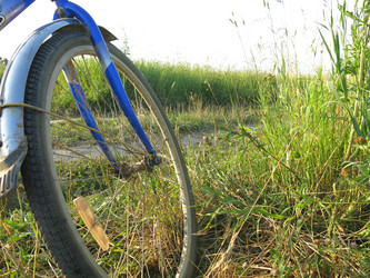 Similar image 21225631