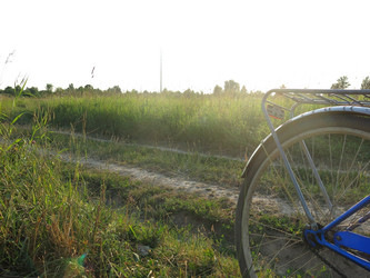 Similar image 21225632