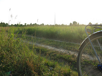 Similar image 21225634