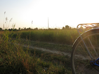 Similar image 21225987