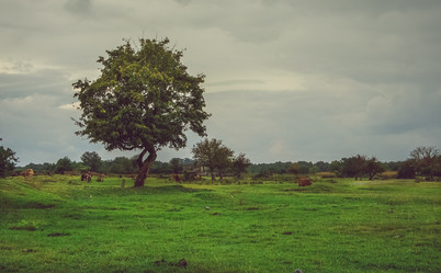 Similar image 21226722