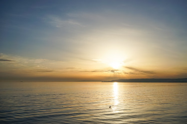 Similar image 21226769