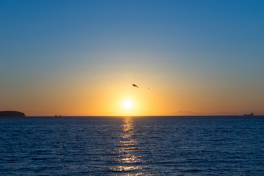 Similar image 21226775