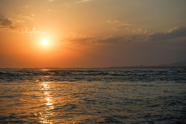 Similar image 21226784