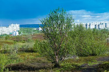 Similar image 21226826