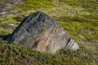 Similar image 21226831