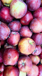 Similar image 21226887