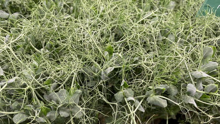 Similar image 21226888