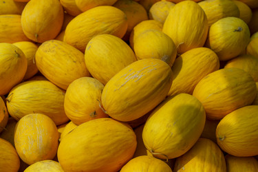 Similar image 21226891