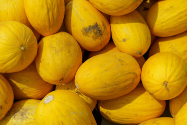 Similar image 21226892