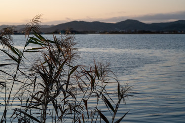 Similar image 21226998