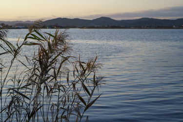 Similar image 21227006