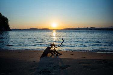 Similar image 21227011