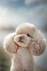 Similar image 21243380