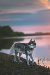 Similar image 21243383