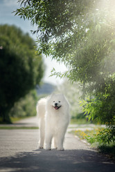 Similar image 21243385