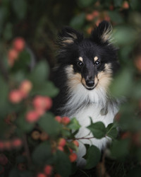 Similar image 21243386