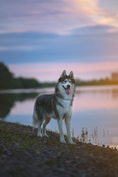 Similar image 21243387