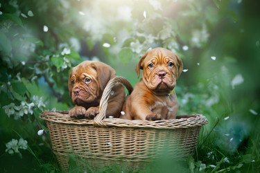 Similar image 21243388