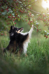 Similar image 21243399