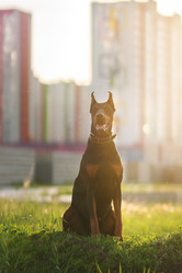 Similar image 21243400