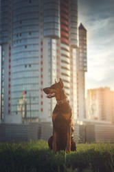 Similar image 21243406