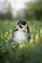 Similar image 21243408