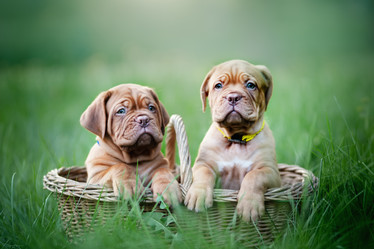 Similar image 21243410