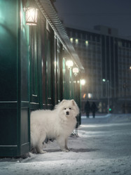 Similar image 21243411