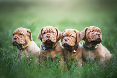 Similar image 21243419