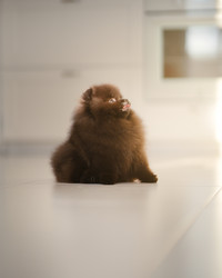 Similar image 21243423