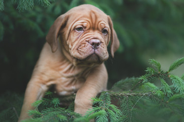 Similar image 21243425